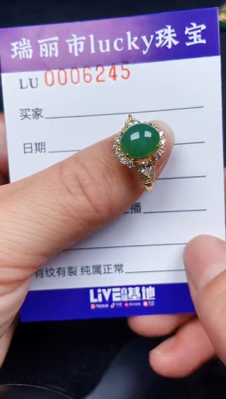 翡翠银S925镶嵌颈饰6245