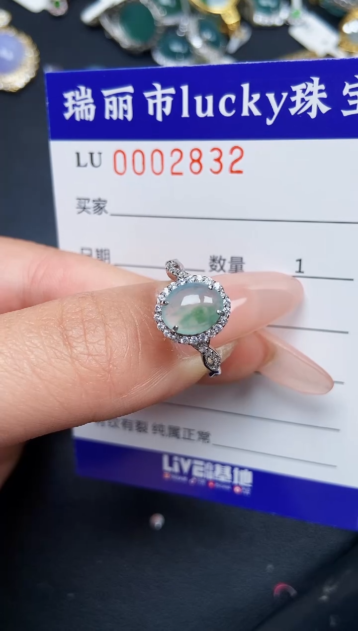 【闪购商品】翡翠颈饰银S925镶嵌2832