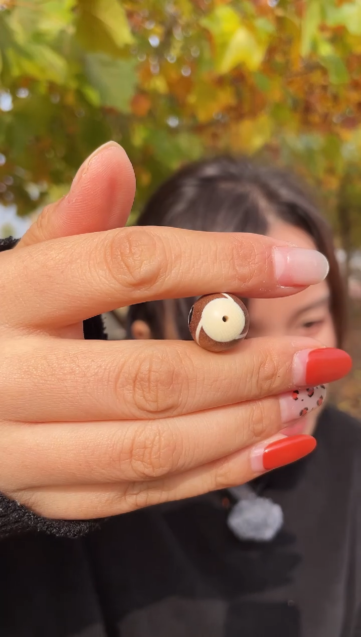 乌木类011老山檀猛犸单颗珠子