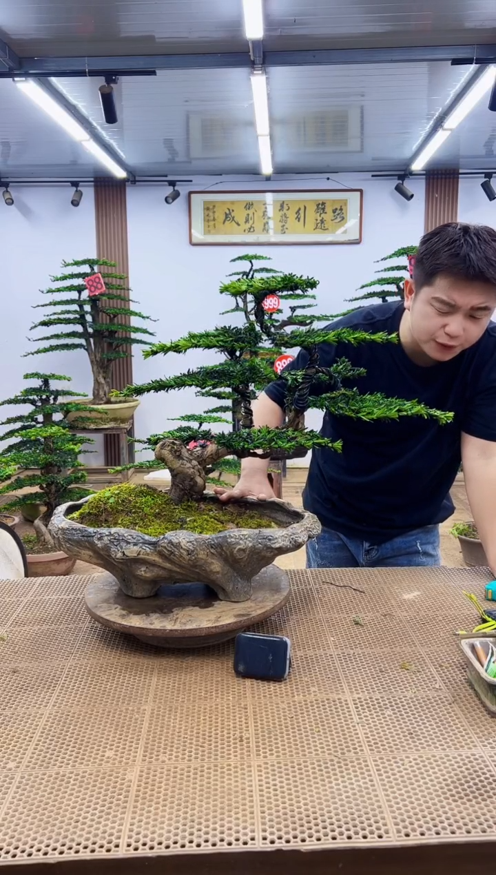 无花朵一物一拍，所见即所得