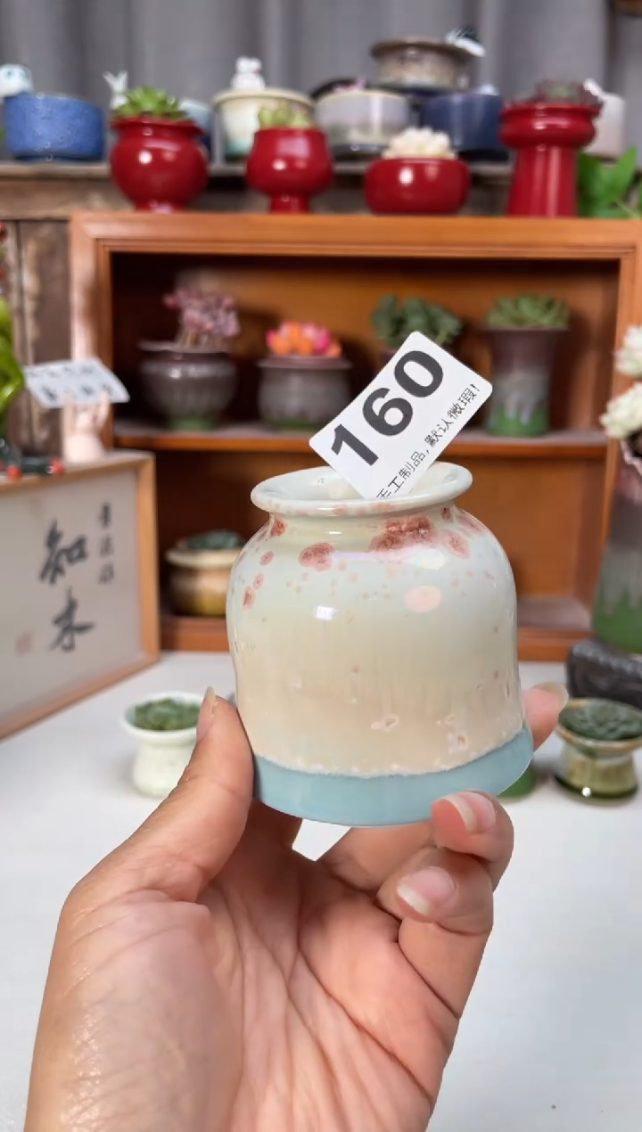 瓷片160小芳花盆直播编号