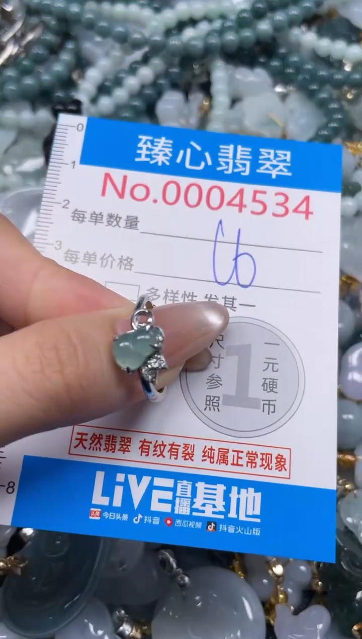 颈饰未镶嵌翡翠4534
