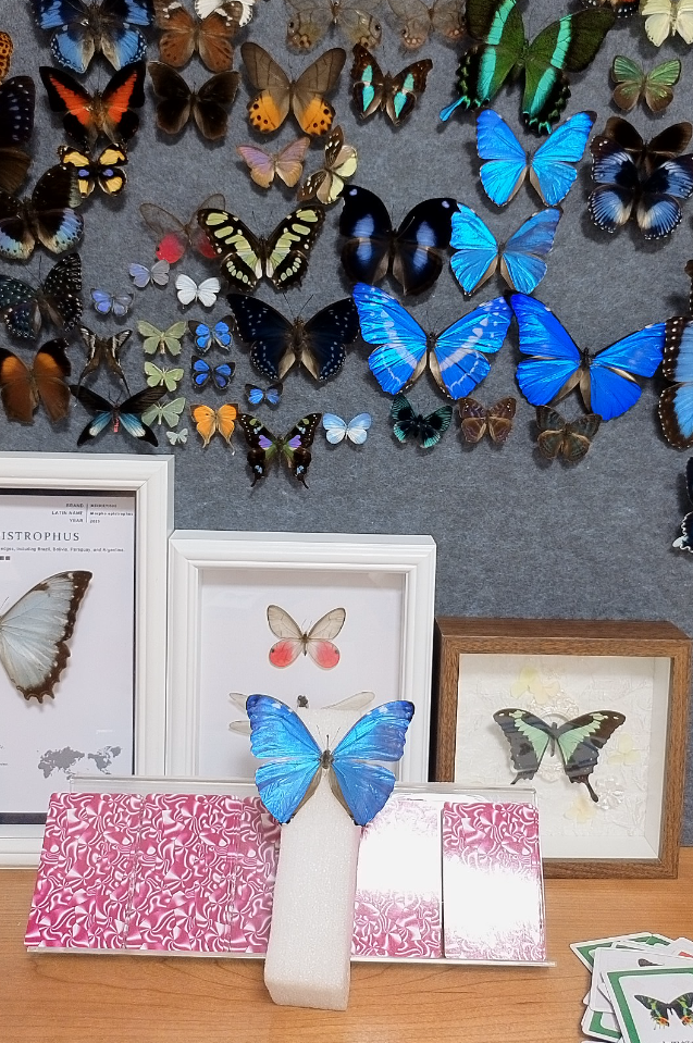 安东尼斯A1成品不带框