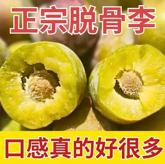 （现采现发）四川高山新鲜脱骨半边红李青脆李脆甜多汁爽口