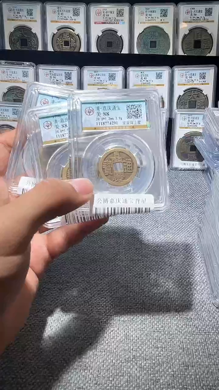 铜A205公博啊啊啊嘉庆通宝背星88