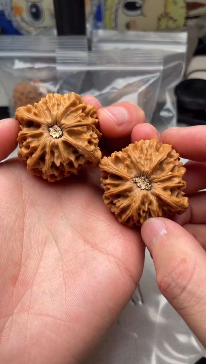 把件文玩核桃翱*1208-翱翔-龙门涧