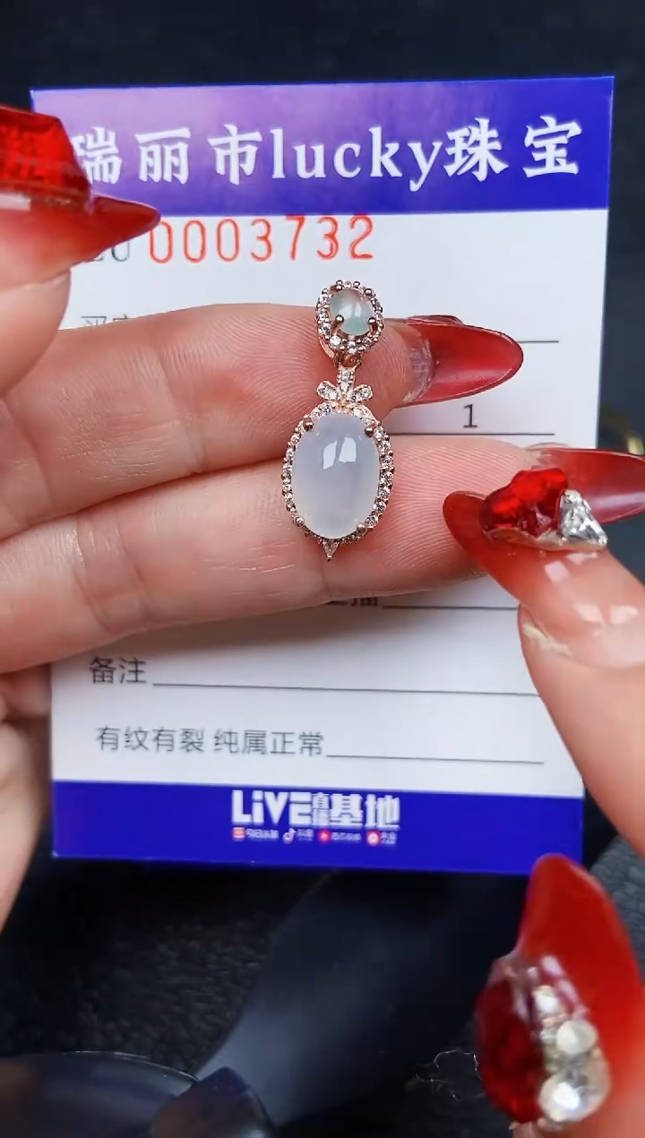 【闪购商品】翡翠颈饰银S925镶嵌3732