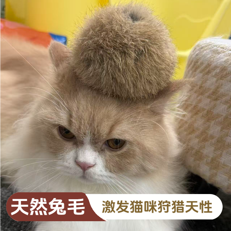 猫玩具兔毛球天然真毛逗猫球内置猫薄荷互动宠物自嗨玩具解闷玩耍