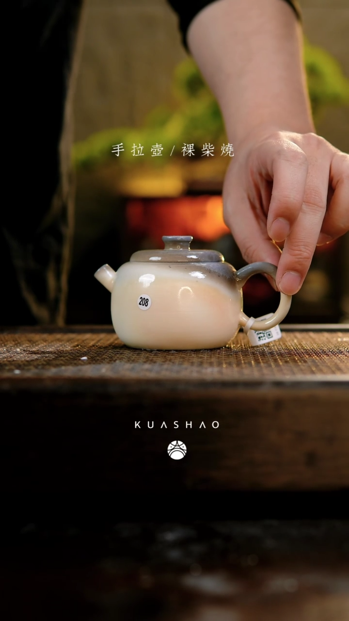 【闪购商品】月半壶208             