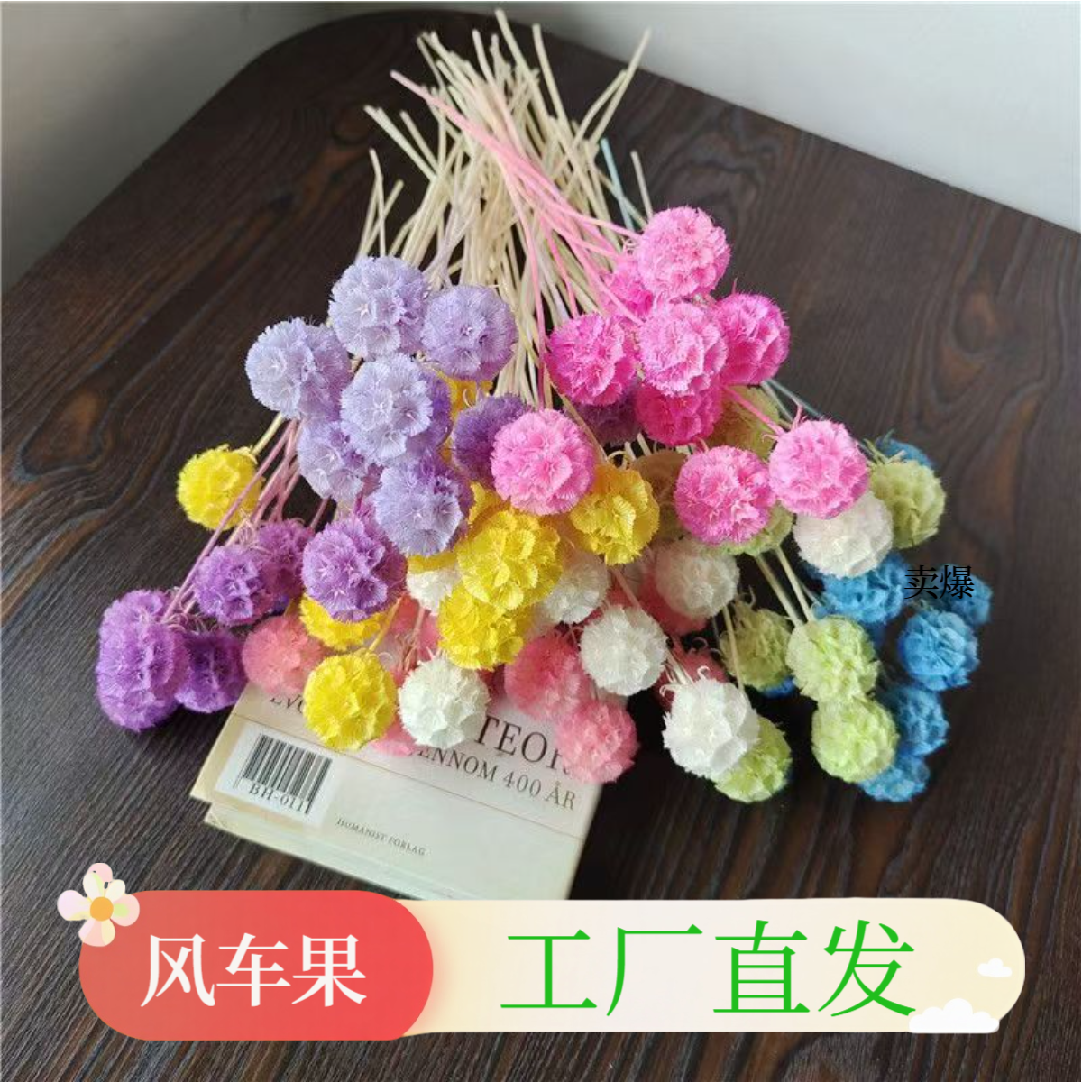 风车果松虫果永生花束用于家居装饰的diy花艺插花材料