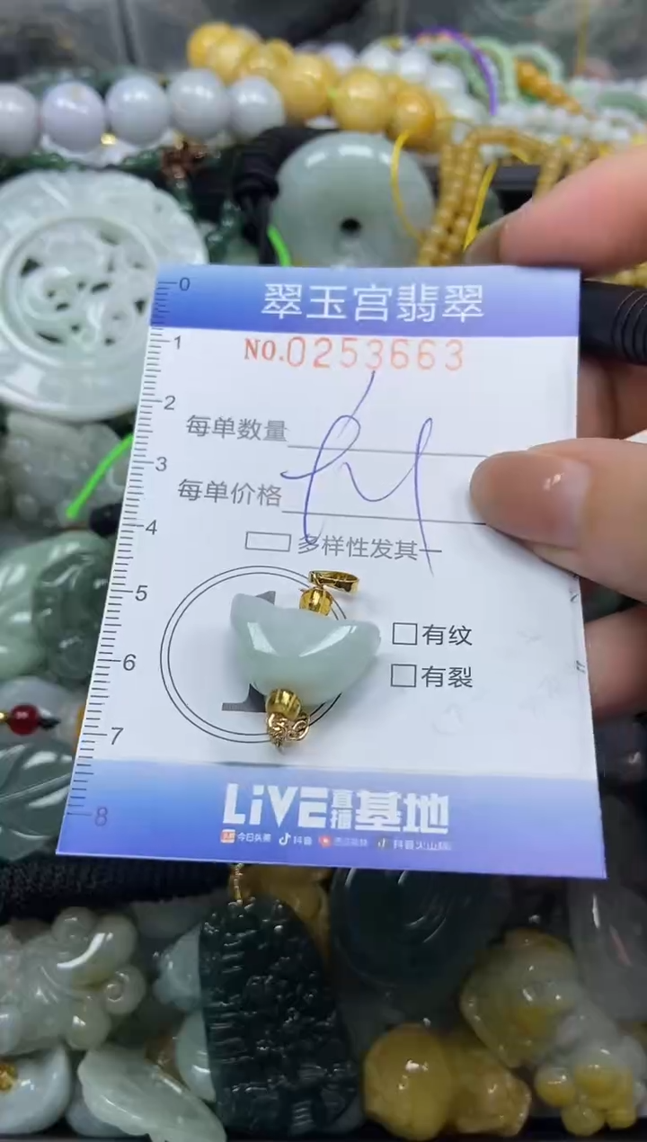 颈饰未镶嵌翡翠闪购C0253663