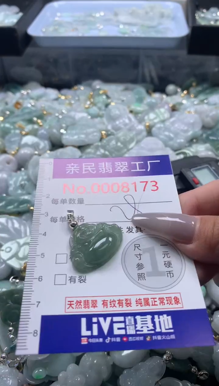 颈饰未镶嵌翡翠8173