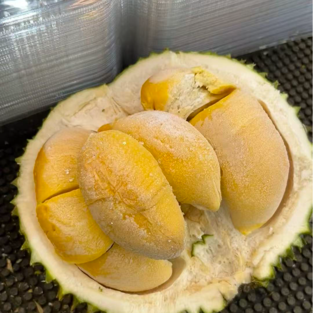 马来西亚液氮D200D197AA果 一物一拍（核大）黑刺马来西亚