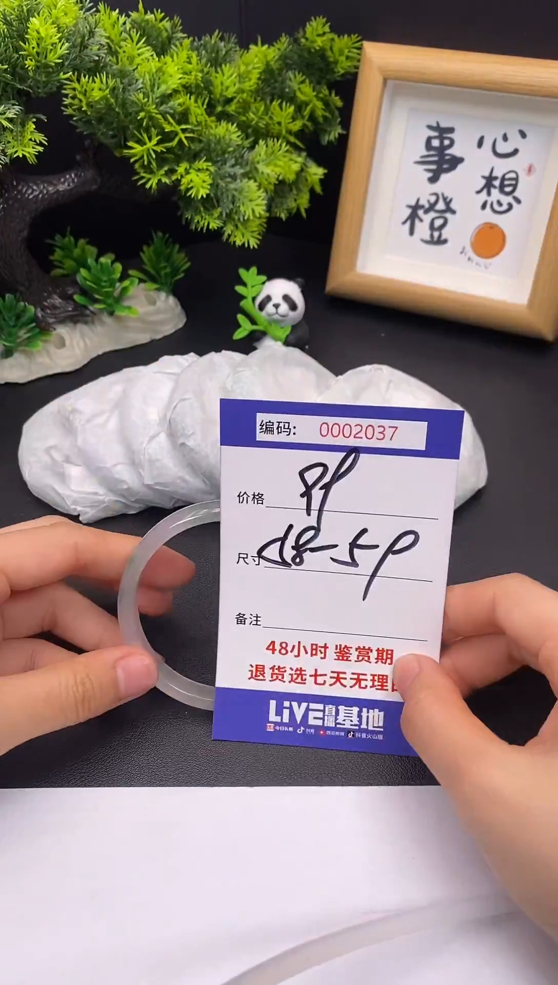 未镶嵌手镯翡翠0002037