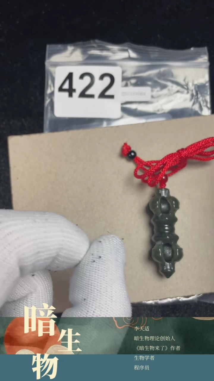 【闪购商品】和田玉吊坠(赠链)未镶嵌422