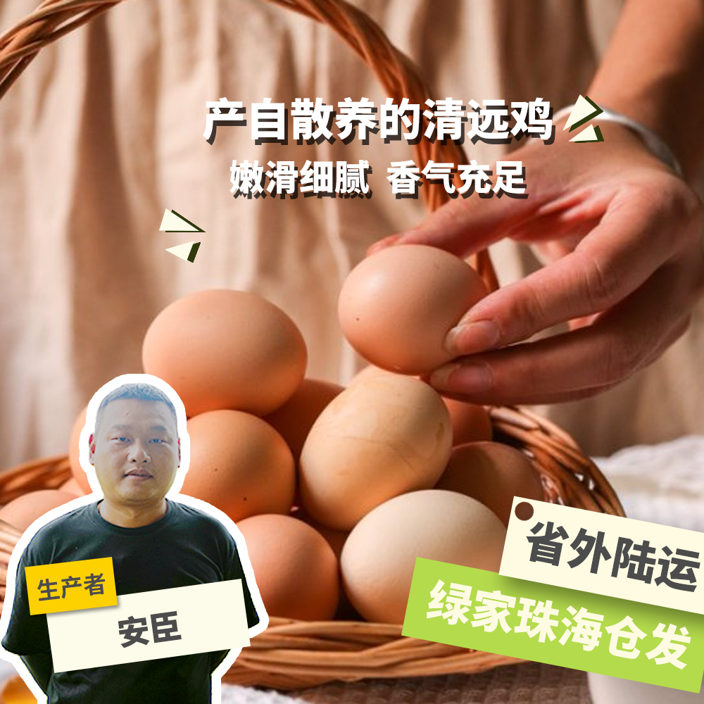 生态初生鸡蛋 30枚 绿手指份额农园