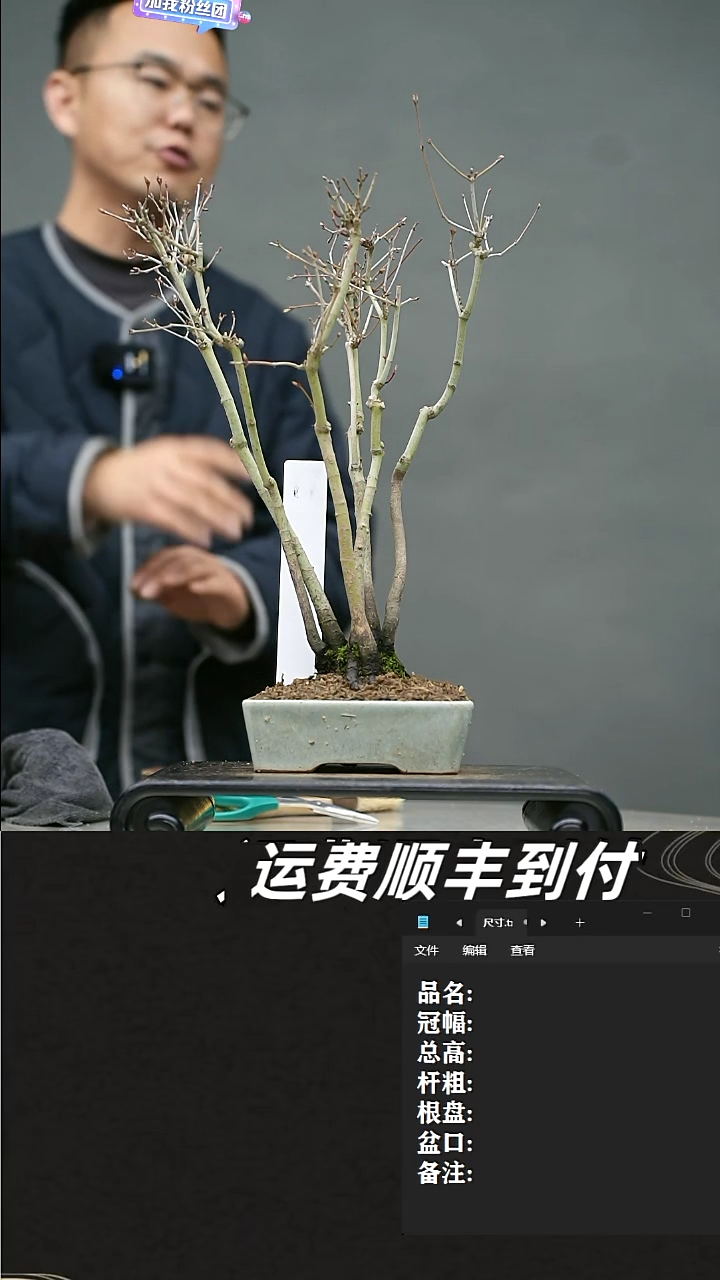 【闪购商品】78     