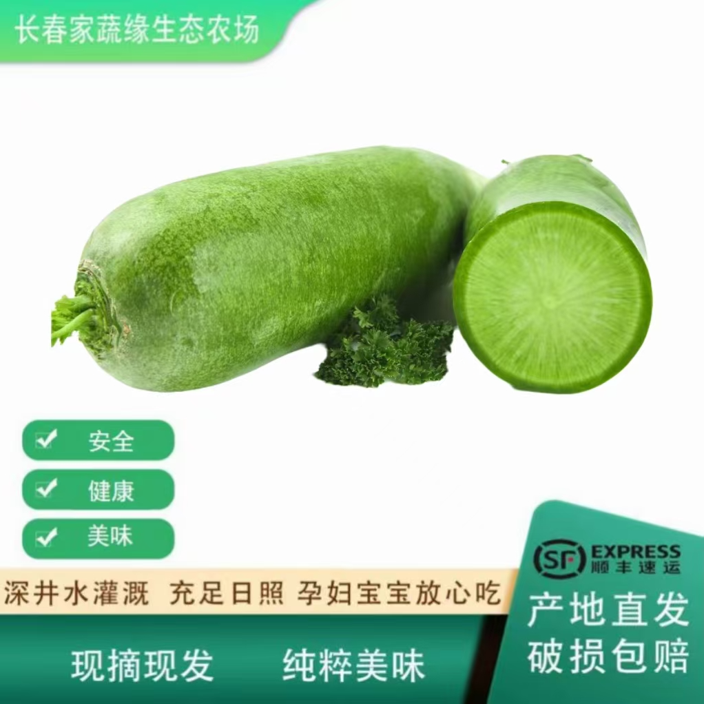 【家蔬园自产】新鲜青萝卜4斤，0化肥0农残0激素 现摘现发