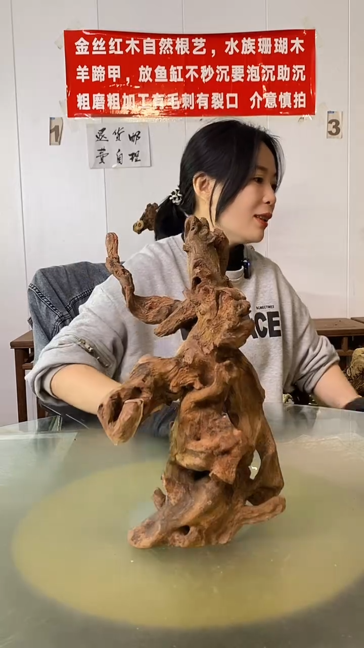 木勇**前金丝红木  羊蹄甲