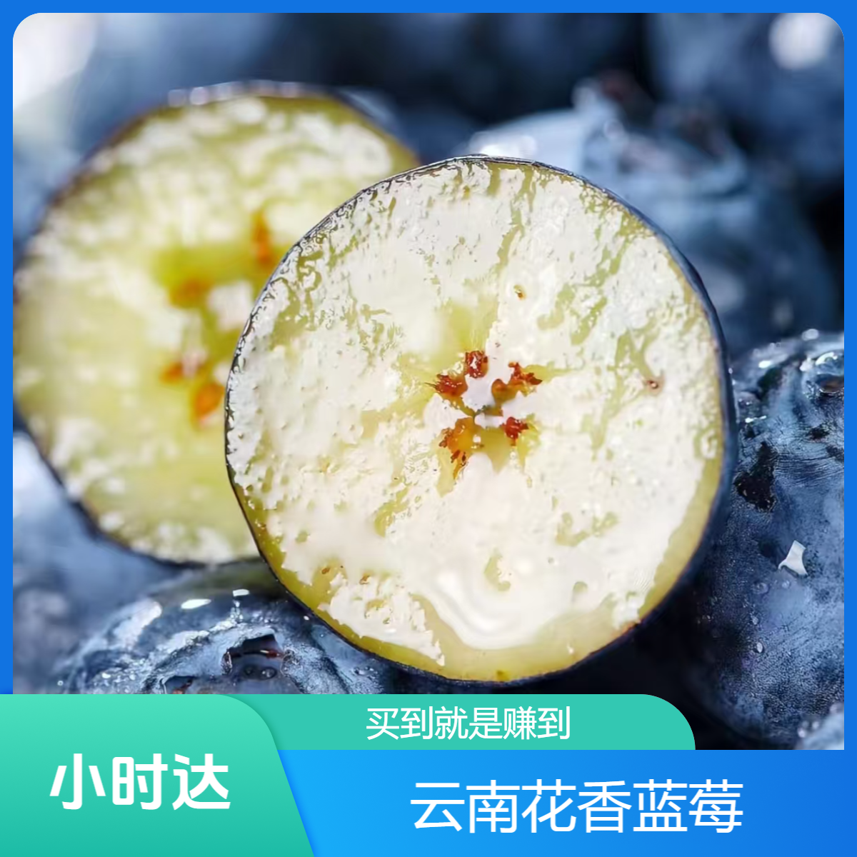 【云南迷迭蓝24+超大蓝莓】云南新鲜蓝莓 脆甜花果香新鲜现采摘 小时达吉林省