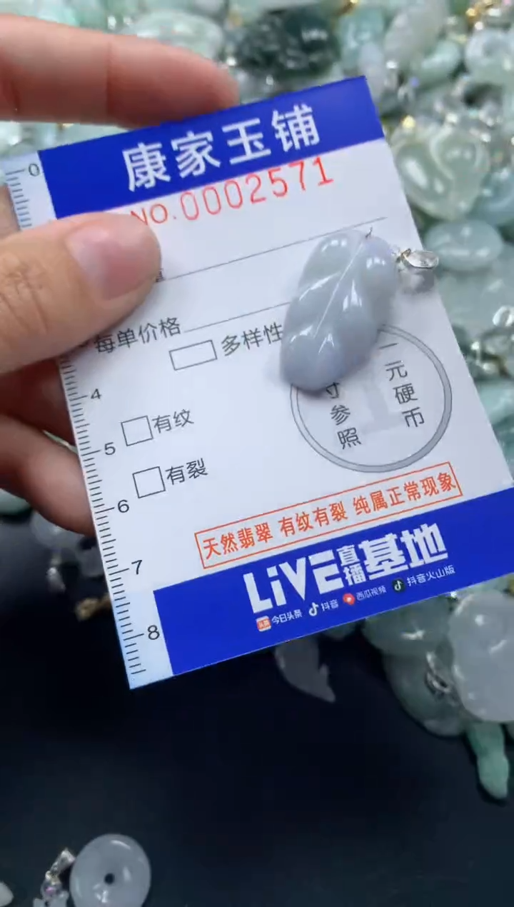 颈饰未镶嵌翡翠2571