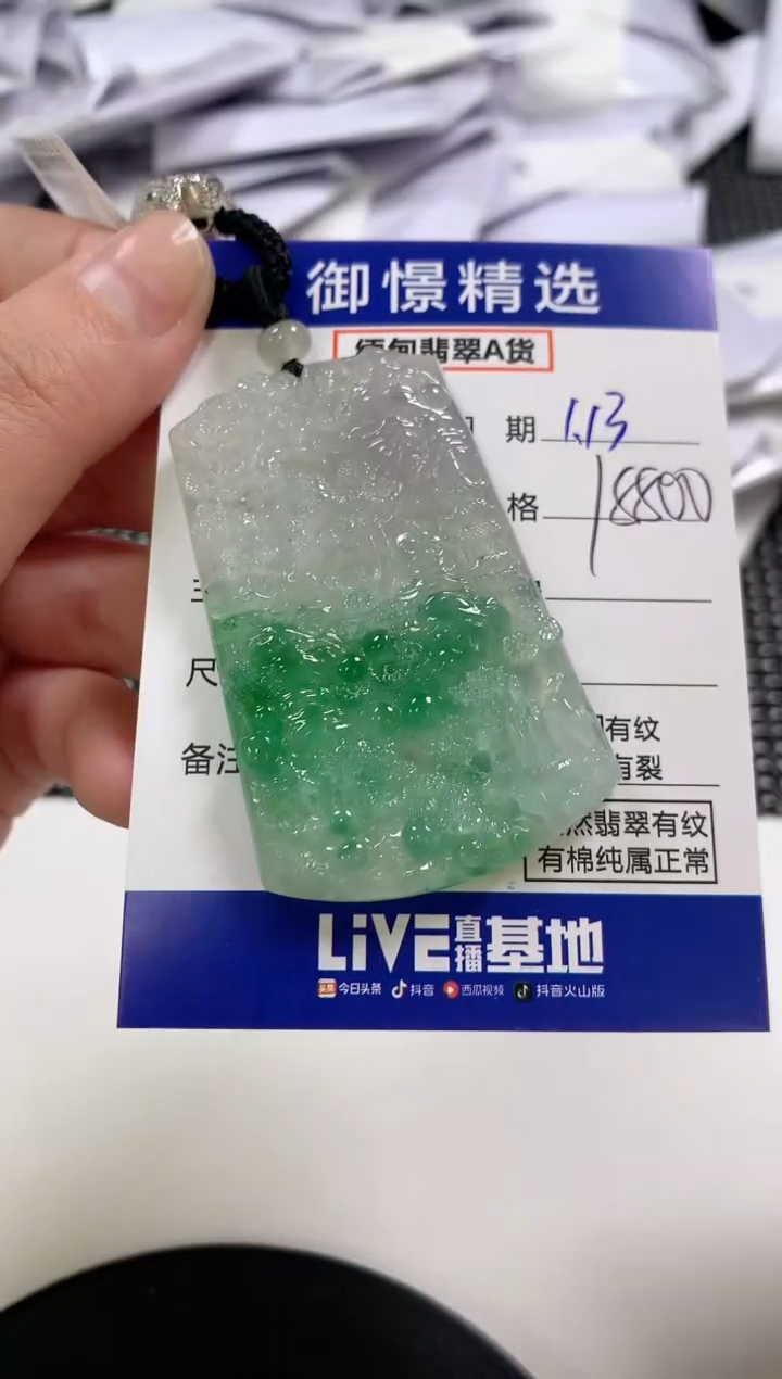 【闪购商品】翡翠颈饰未镶嵌43