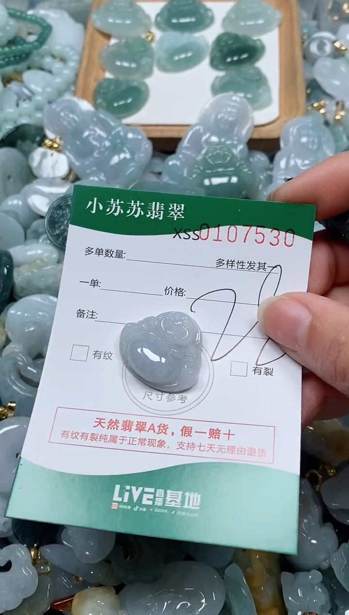 【闪购商品】翡翠颈饰未镶嵌闪购商品0107530