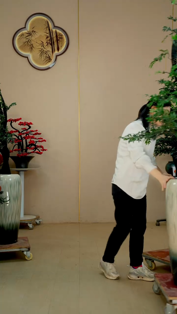 以实际为准青**植广东小叶紫檀落地高端盆景室内外四季常青常绿