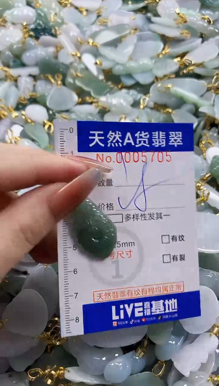 颈饰未镶嵌翡翠天然A货翡翠