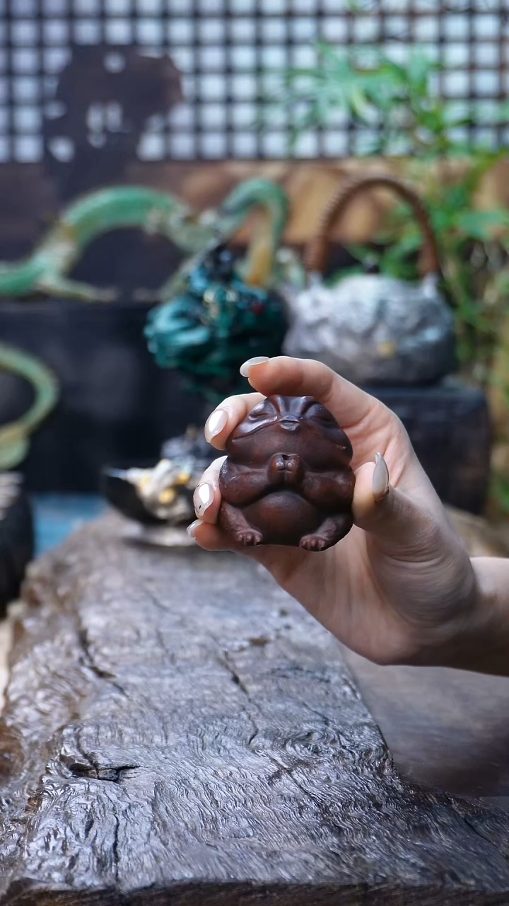 金蟾香插11111111