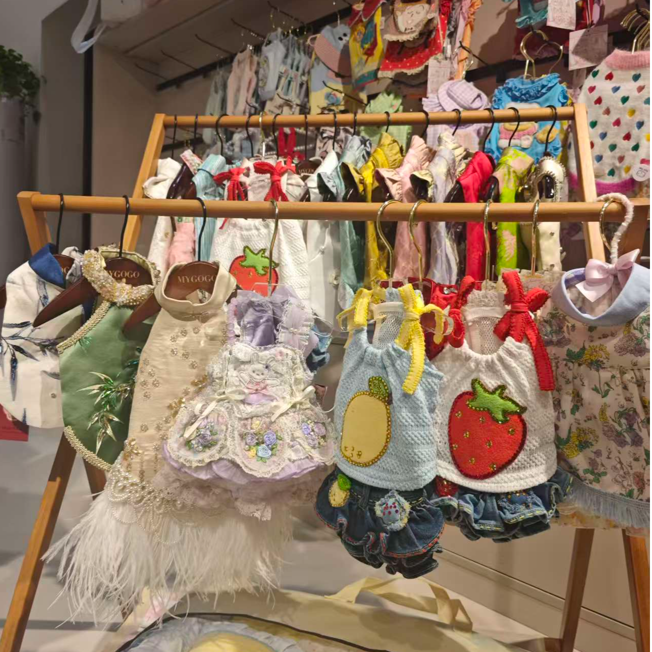 直播间过款宠物服饰