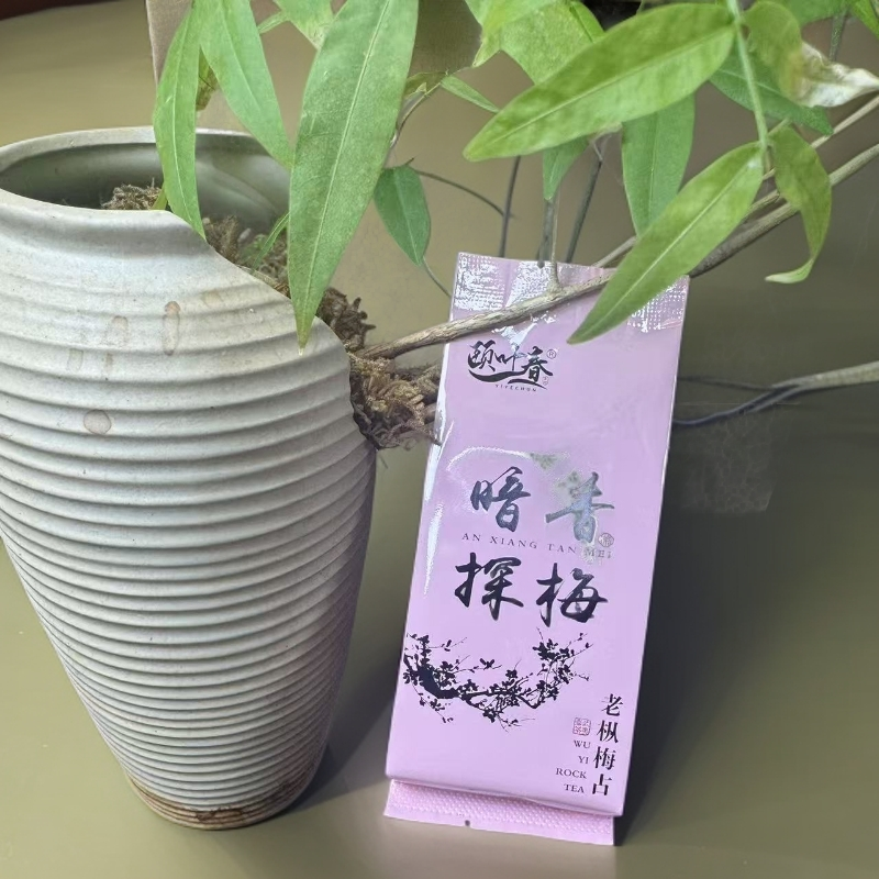 【老枞梅占】5号武夷岩茶简装大份量--颐叶春茶叶