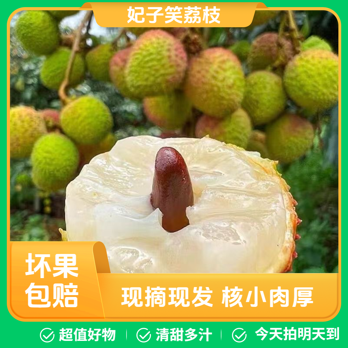 【顺丰次日达】广东妃子笑茂名荔枝5.5斤 头茬鲜果 新鲜采摘不泡水不催熟 应季水果整箱包邮广东省广东省