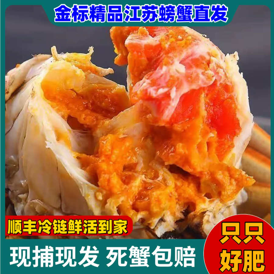 【金标活蟹】全母6只8只10只装（2.6-2.3两）洪泽湖螃蟹礼盒顺丰包邮