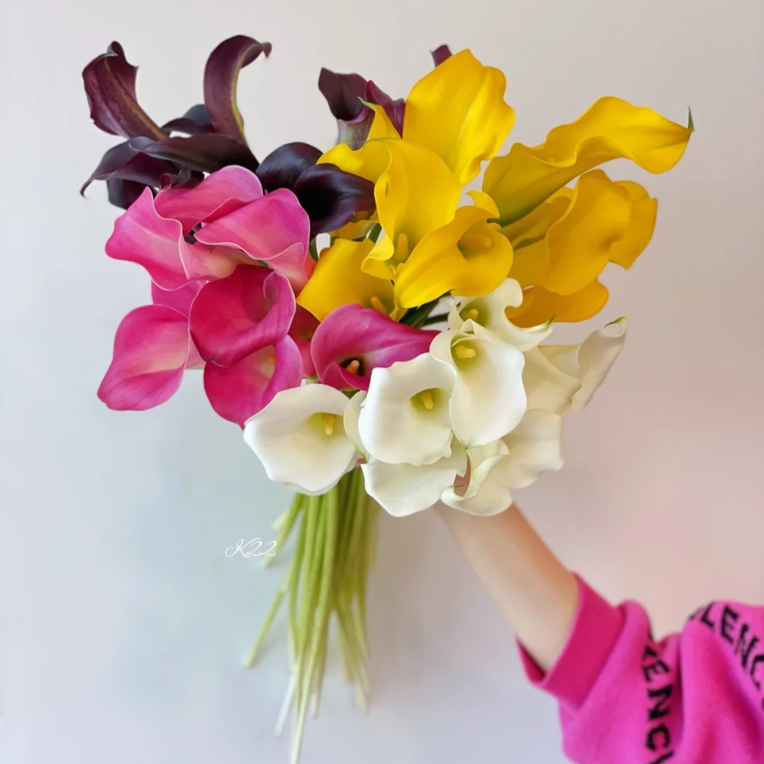 【马蹄莲鲜切花】进口鲜切花开花好养活室内外花卉盆栽花