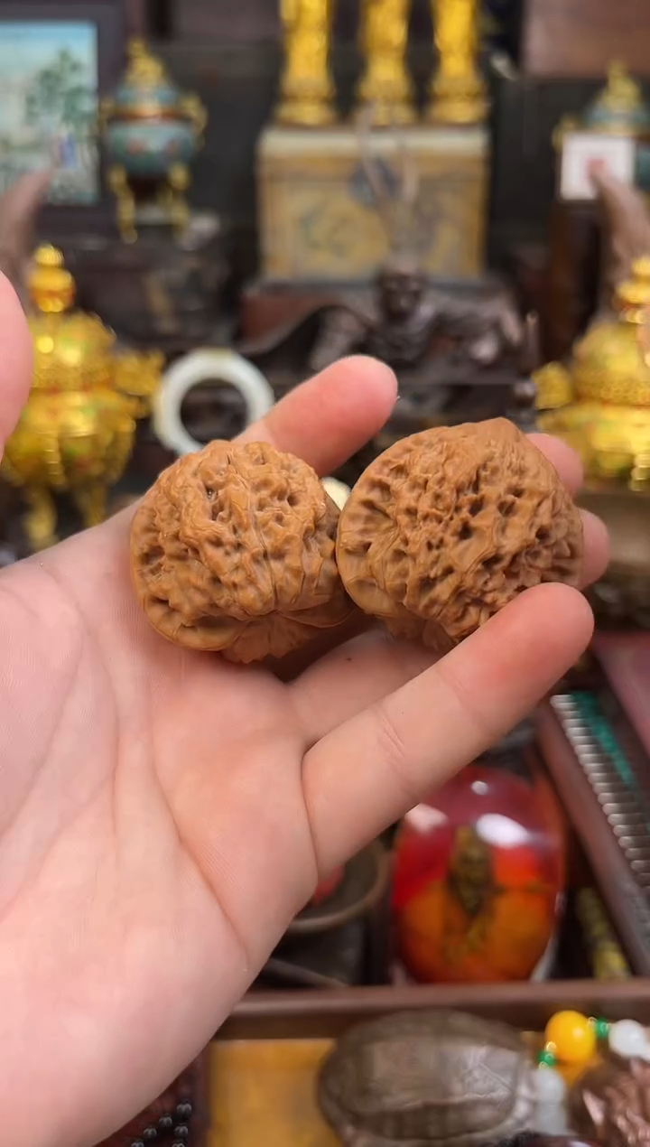 王*和锦华斋定向闪购4