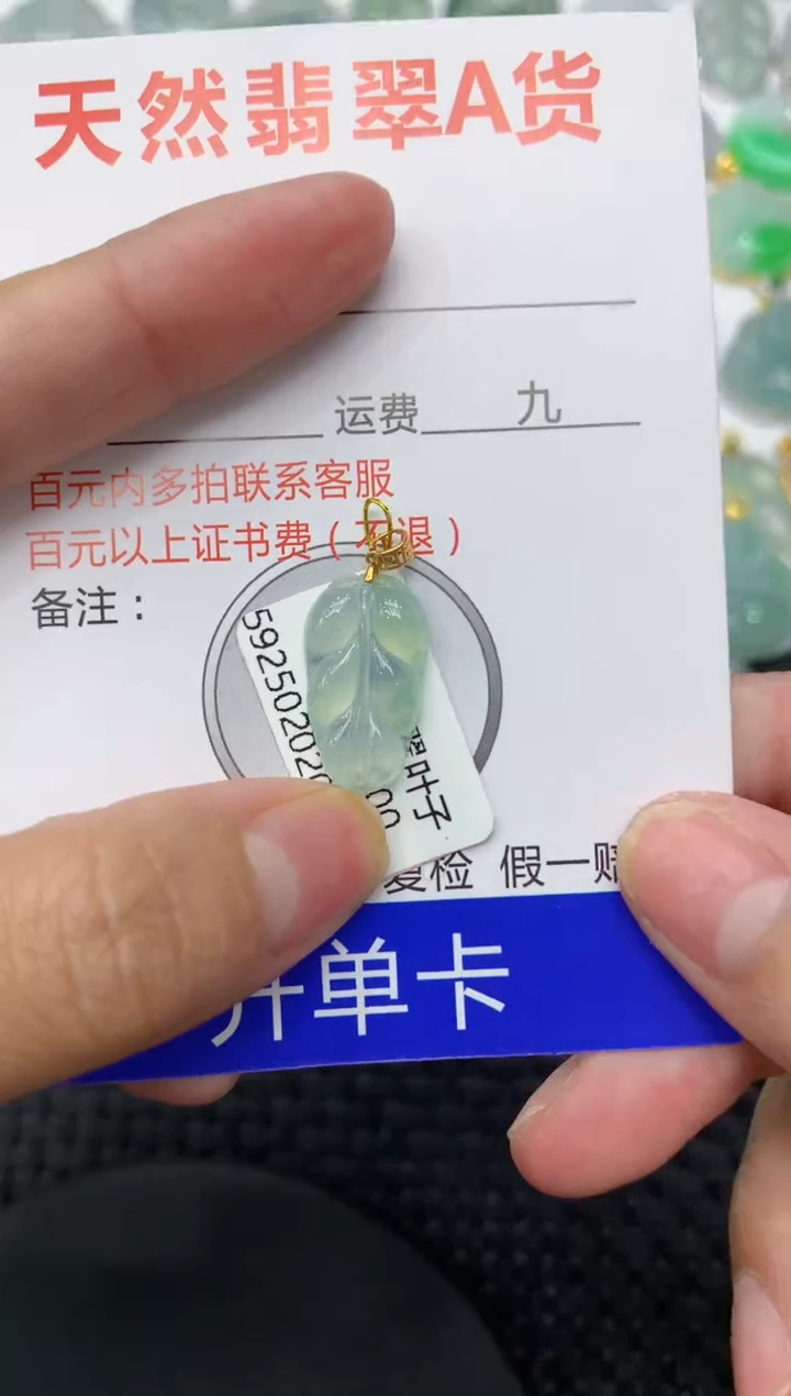 【闪购商品】翡翠颈饰18K金镶嵌111111111