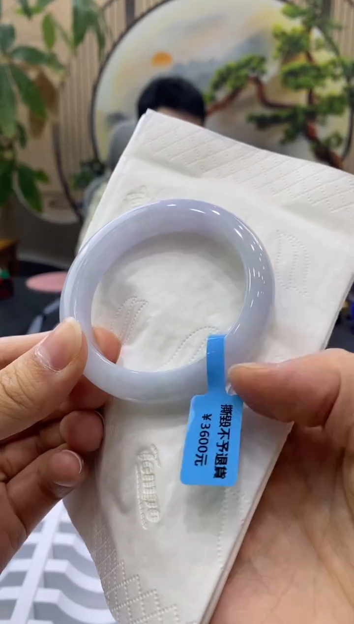未镶嵌手镯翡翠2281