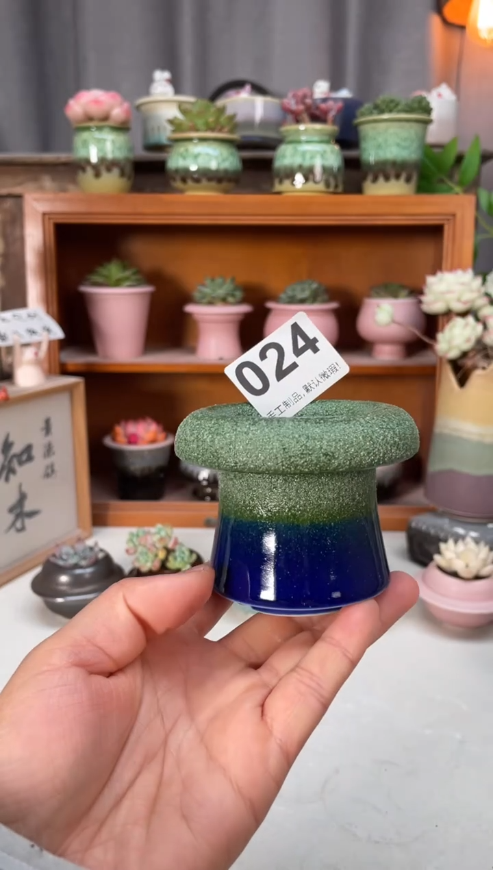 瓷片024小芳直播编号