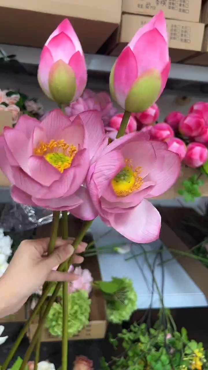 2枝荷花2枝荷包组合