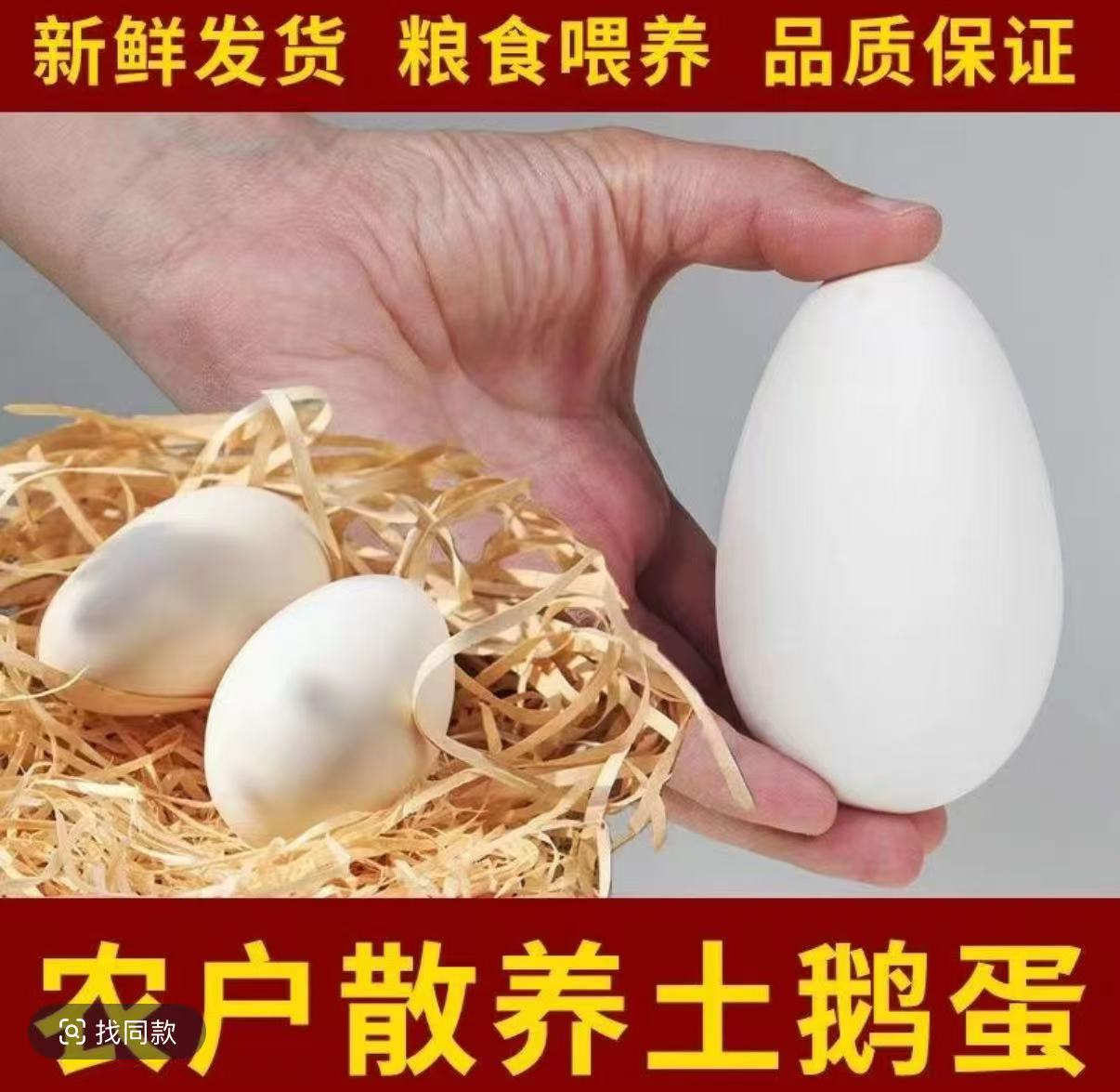 农家土鹅蛋拍6枚送6枚谷物新鲜鹅蛋破损包赔到手12个