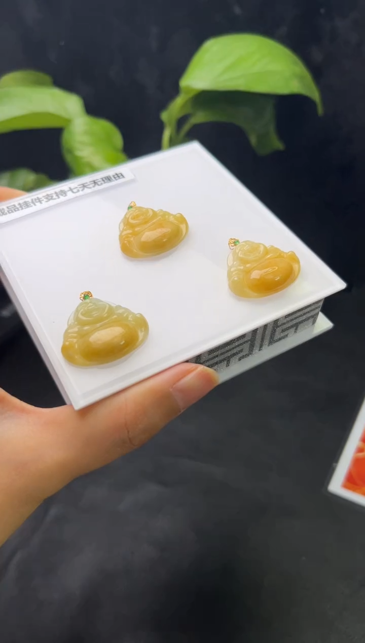 【闪购商品】翡翠颈饰18K金镶嵌356-24061501B多样性发一件