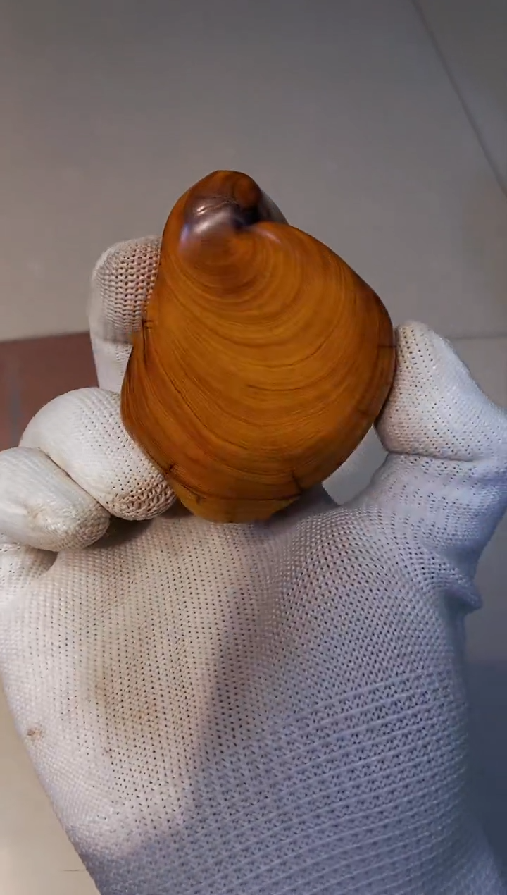 【闪购商品】柏木1崖柏崖柏崖柏崖柏崖柏