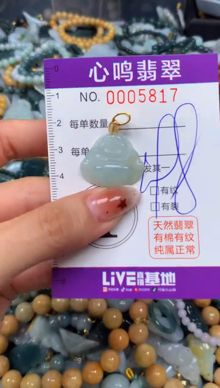 翡翠未镶嵌颈饰闪购005817