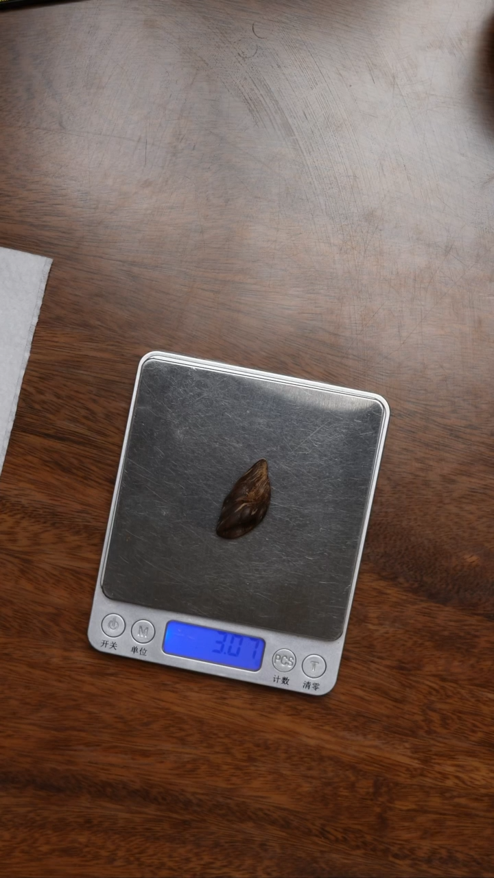 沉香沉香碎屑沉水级加里曼丹3克