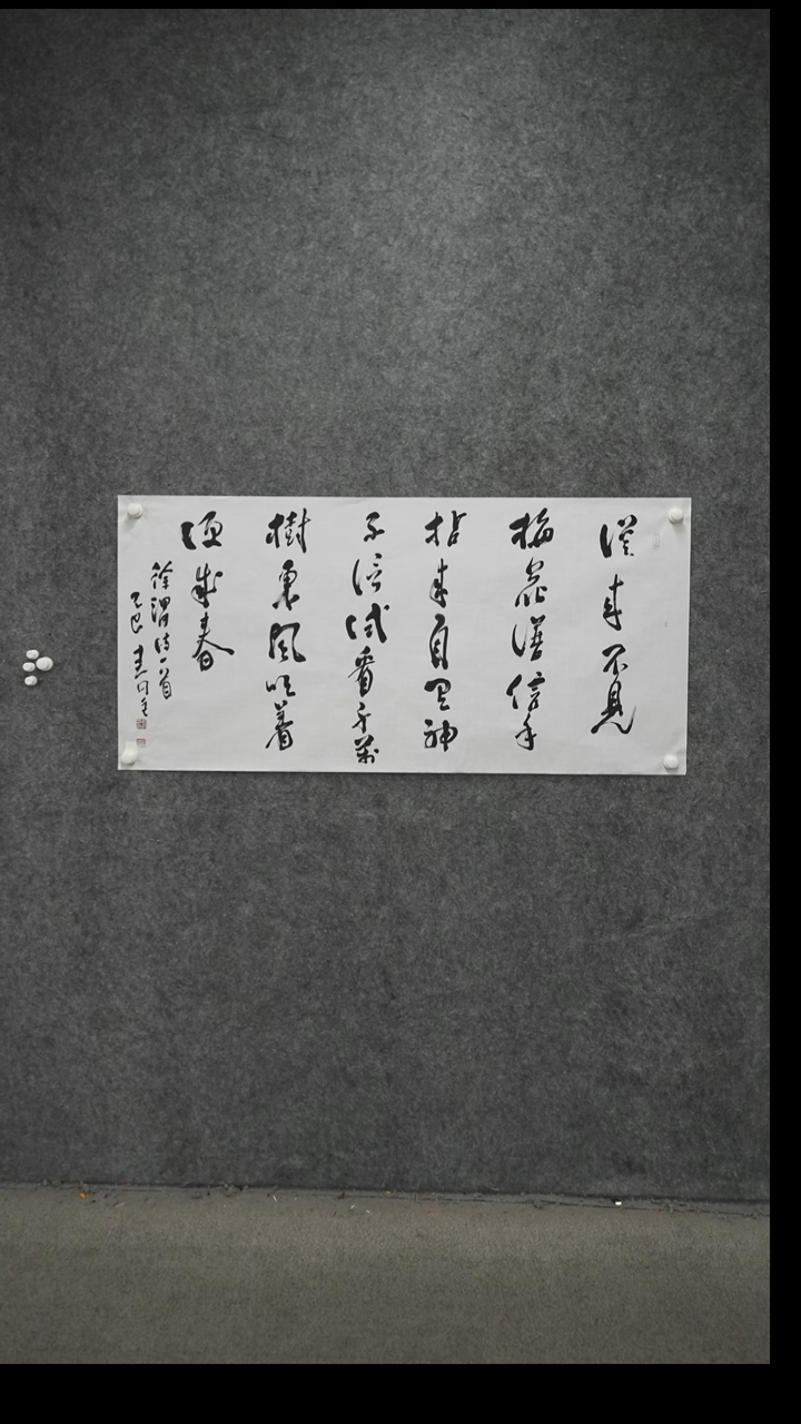 书法书法LCY老师作品