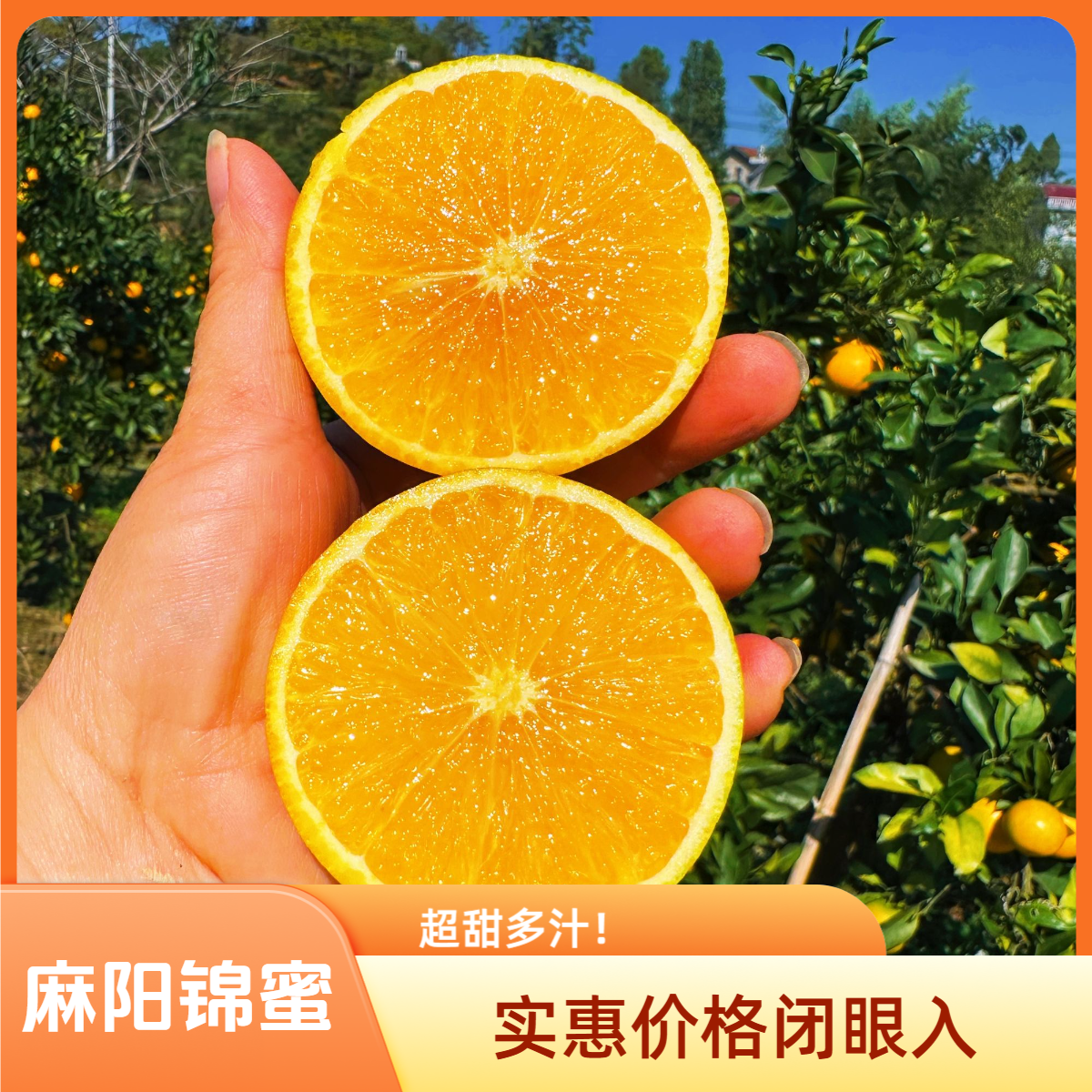 麻阳（锦蜜特甜）冰糖橙新鲜水果橙子净重5/9斤装包邮自家果园