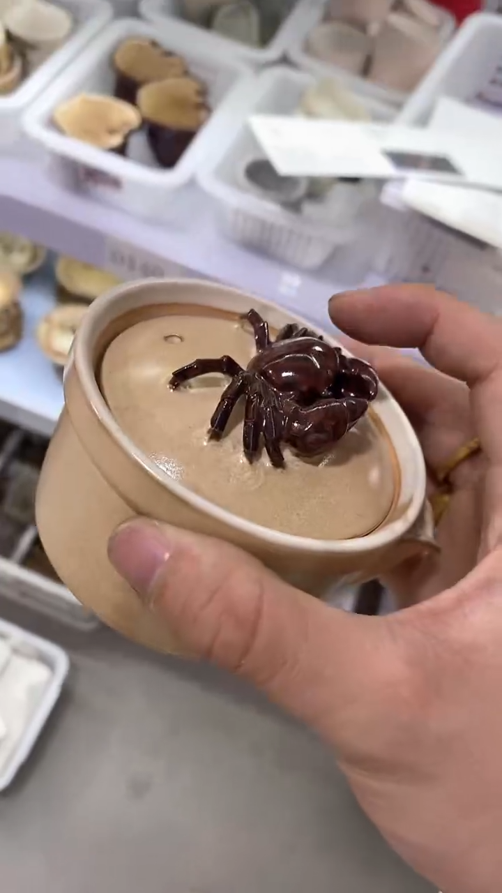 瓷片D417陶瓷茶具茶器