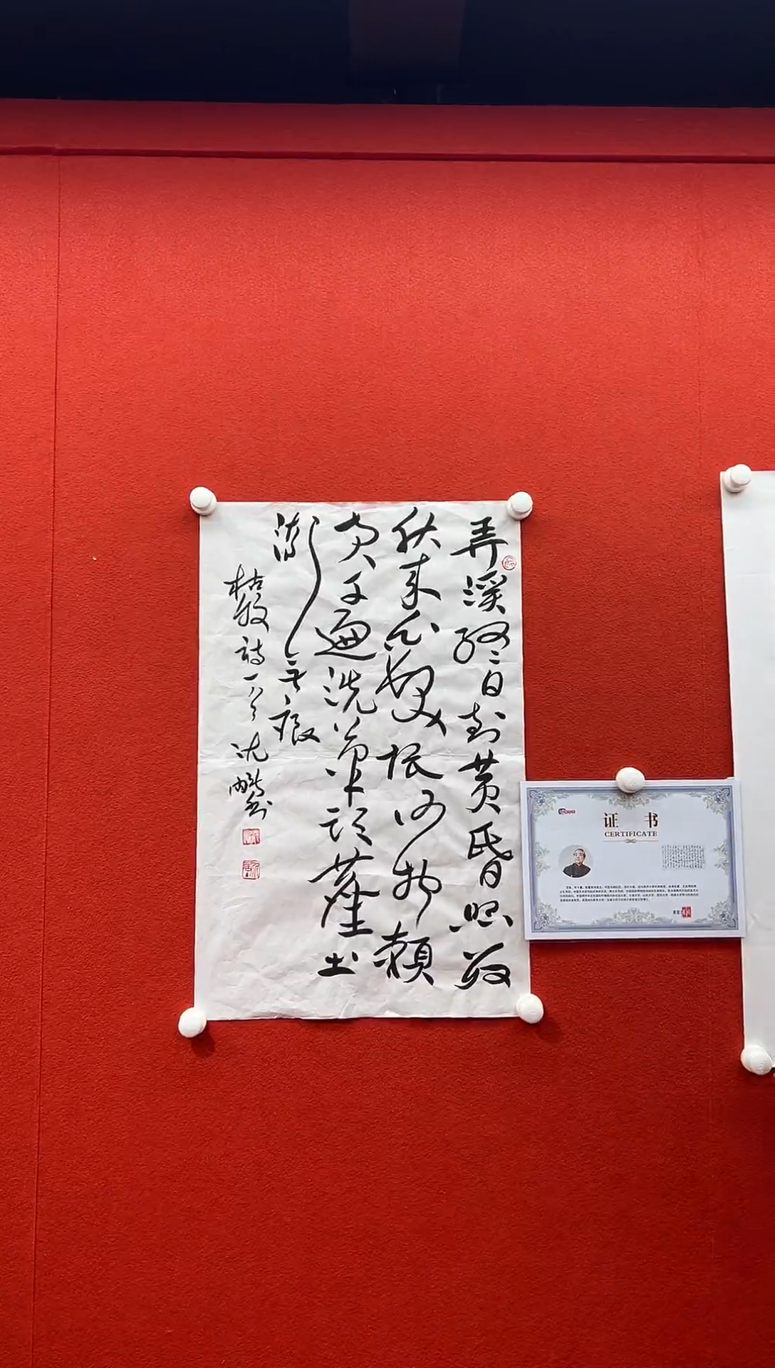 书法复星书画精选作品