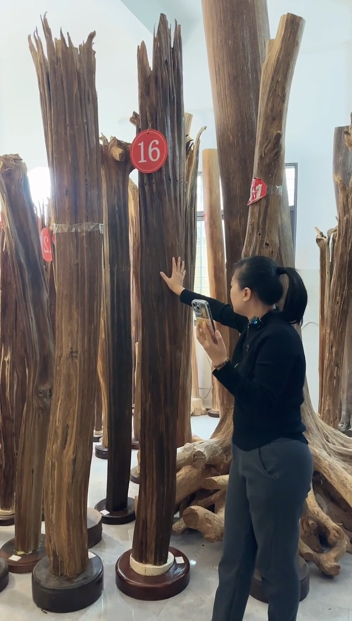 【闪购商品】沉香摆件沉香摆件多样性发一件